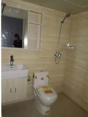 Waterdichte SMC Badkamer Wandset Geïntegreerde SMC Gevormde Badkamer Wandpaneel