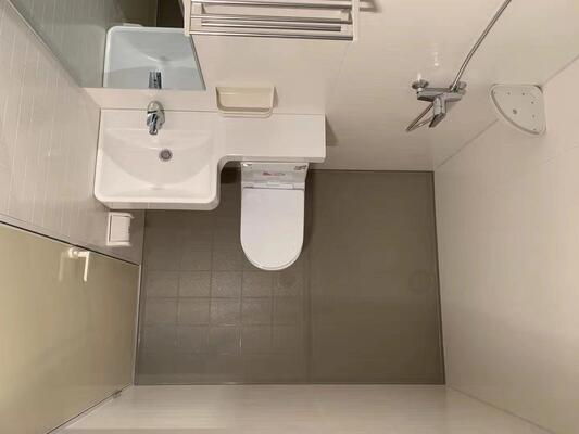 lichtgewicht SMC wandpanelen SMC P-type One-Piece Wash Basin One-Piece gegoten SMC vanity bassin